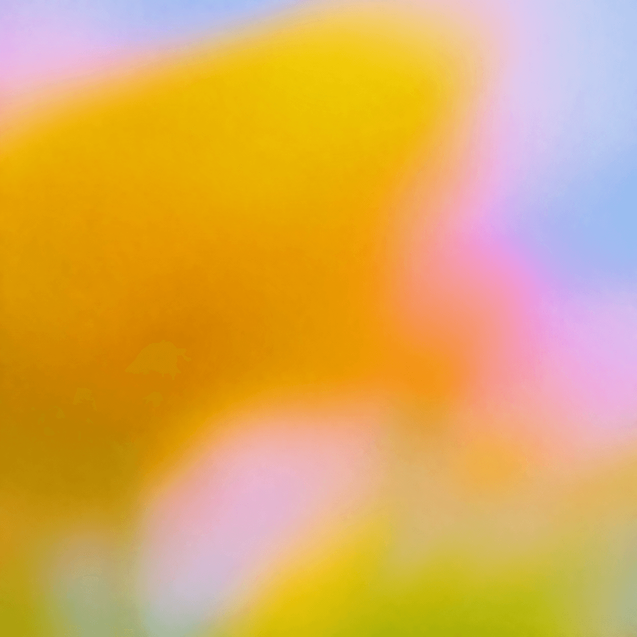 cover-0