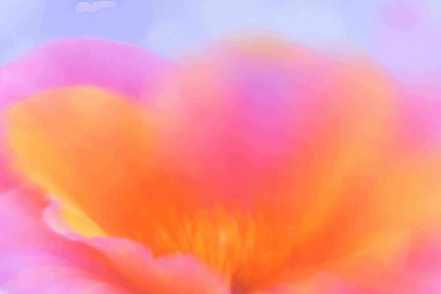 cover-2